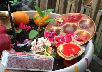 हरिशयनी एकादशी, घरघरमा तुलसी रोपी मनाइँदै