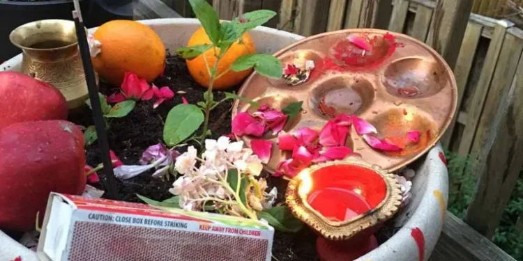 हरिशयनी एकादशी, घरघरमा तुलसी रोपी मनाइँदै