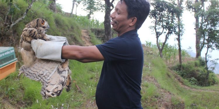 बासस्थानमै छोडियो हुचिल