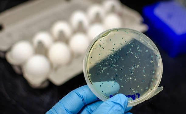 काभ्रे जिल्लाको ५० प्रतिशत खानेपानीको स्रोतमा भेटियो ‘फेइकल कोलिफर्म–इकोली’