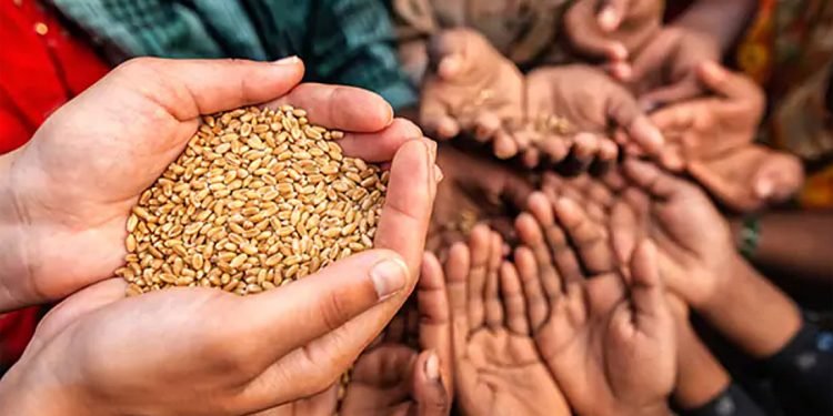 मुगुको सोरुमा खाद्यान्न सङ्कट