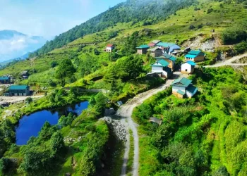 १५ दशमलव शून्य तीन प्रतिशतले जनसङ्ख्या ‍‍‌‌घटयो