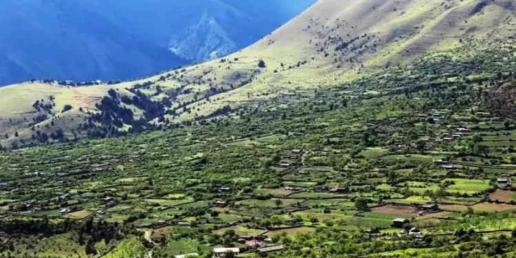 अब निसेलढोरमै स्वास्थ्य सेवा