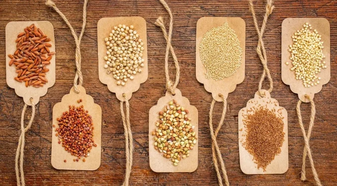 श्रीनगरमा आयोजित कोदो महोत्सवले कोदोको खपत, उपयोगितालाई बारे सचेतना जगायो