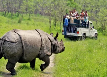 चितवन राष्ट्रिय निकुञ्जमा हुने पर्यटकीय गतिविधिमा रोक