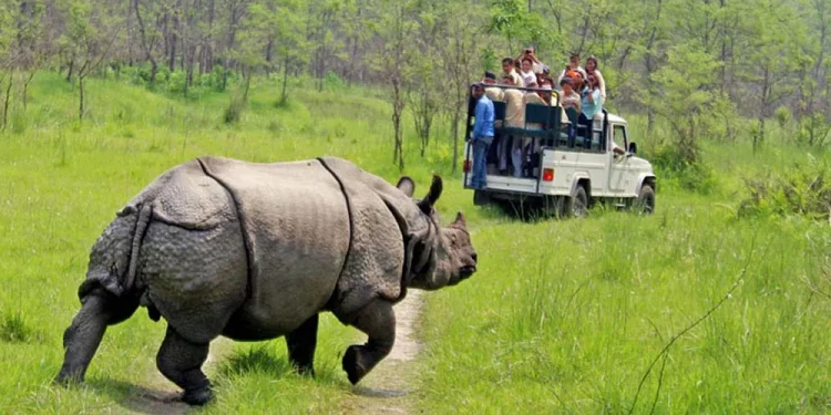 चितवन राष्ट्रिय निकुञ्जमा हुने पर्यटकीय गतिविधिमा रोक