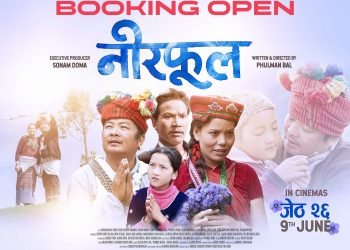 दक्षिण कोरियाका सहरमा नीरफूल