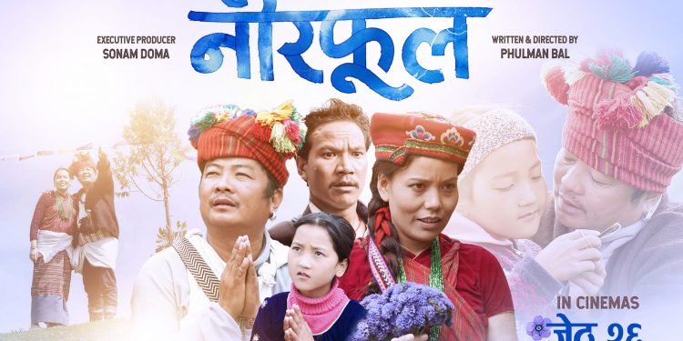 दक्षिण कोरियाका सहरमा नीरफूल