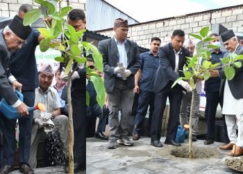 एमाले पार्टी कार्यालयमा ओलीद्वारा वृक्षारोपण