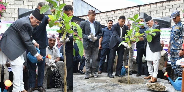 एमाले पार्टी कार्यालयमा ओलीद्वारा वृक्षारोपण