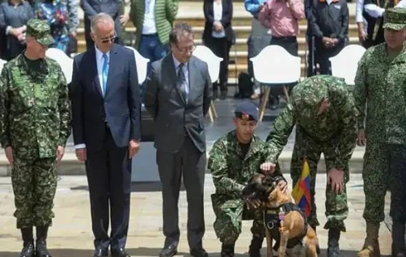 अमेजन जङ्गलबाट ४ बालबालिकाको उद्धार गर्ने टोलीलाई राष्ट्रिय सम्मान, कुकुरको सालिक बनाइने