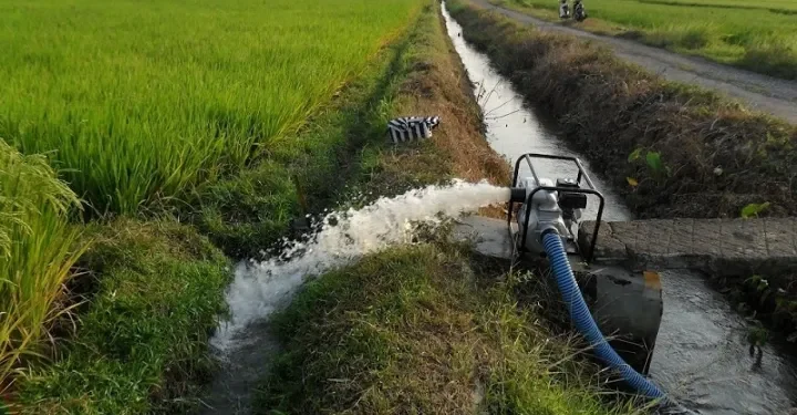 तीन हजार दुई सय बिघा जग्गा सिञ्चित