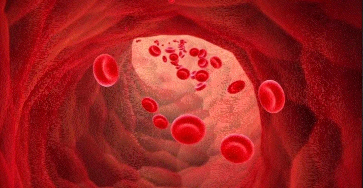 दाङको नारायणपुरमा ४१ जनामा सिकलसेल एनिमिया