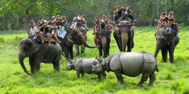 चितवन राष्ट्रिय निकुञ्जमा करिब तीन लाख पर्यटकले भ्रमण गरे