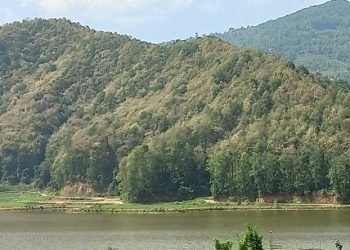 आलेख: अझै हुन सकेन ‘हरियो वन, नेपालको धन’