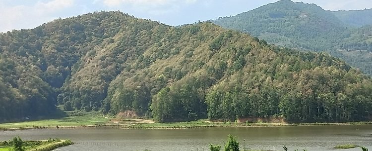 आलेख: अझै हुन सकेन ‘हरियो वन, नेपालको धन’