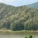 आलेख: अझै हुन सकेन ‘हरियो वन, नेपालको धन’