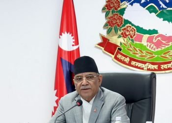 डिजिटल साक्षरता विद्यालयको पाठ्यक्रममा समावेश गर्न आवश्यक : प्रधानमन्त्री