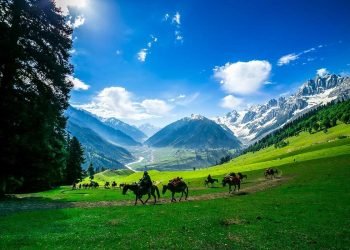 जम्मु कश्मीर, बंगलादेश र म्यानमारमा आक्रमण गर्ने योजना बनाउँदै अल कायदाः राष्ट्र संघ
