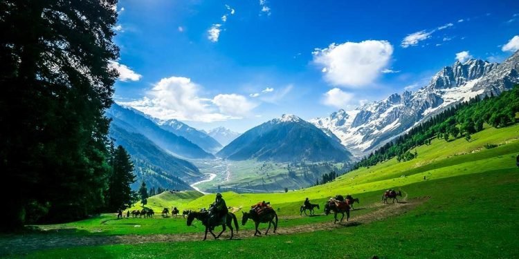 जम्मु कश्मीर, बंगलादेश र म्यानमारमा आक्रमण गर्ने योजना बनाउँदै अल कायदाः राष्ट्र संघ