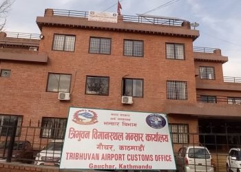सुन जाँचपासमा संलग्न सबैलाई निलम्बनको तयारी