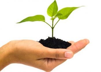 बिरुवा लिन सर्वसाधारणको भीड