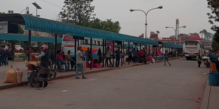 बसपार्कमा झोला तानेर यात्रुलाई दुःख दिनेहरू धमाधम पक्राउ