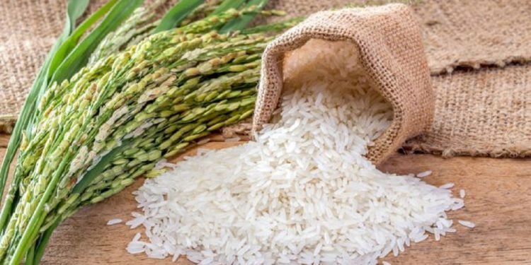 चामलको भाउ २० प्रतिशतसम्मले बढ्न सक्ने अनुमान