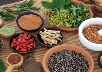 आयुर्वेद चिकित्साप्रति आकर्षण बढ्दै