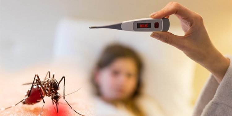 पछिल्लो २० वर्षमा देशरभा ८३ हजारमा डेंगु संक्रमण, ११० को मृत्यु