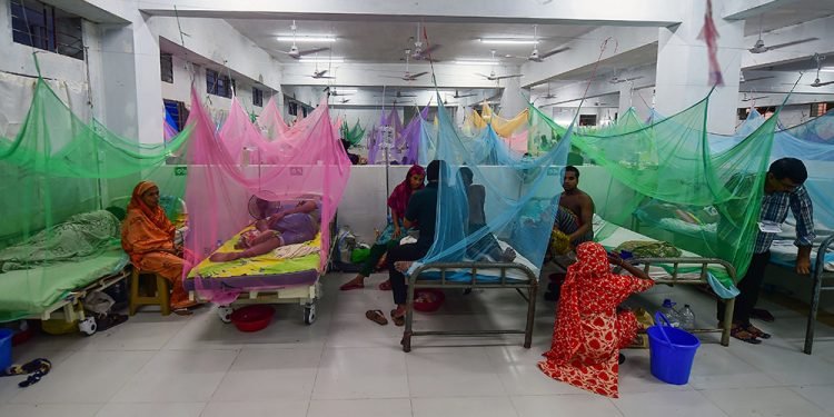 बङ्गलादेशमा डेङ्गुबाट एक सय ५५ जनाको मृत्यु