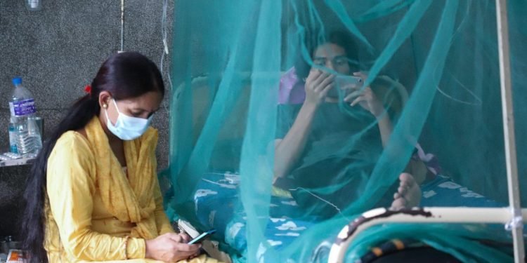 डेङ्गु सङ्क्रमण भदौ र असोजमा उच्च हुने