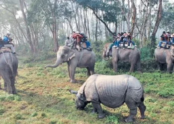 बेमौसममा पर्यटक आएपछि सौराहाका व्यवसायी उत्साहित