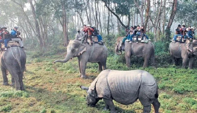 बेमौसममा पर्यटक आएपछि सौराहाका व्यवसायी उत्साहित