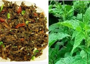 रोङ गाउँपालिकाः गुन्द्रुकको र सिस्नोको ब्राण्डिङ गर्न सफल