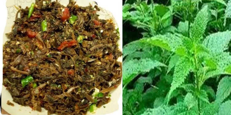 रोङ गाउँपालिकाः गुन्द्रुकको र सिस्नोको ब्राण्डिङ गर्न सफल