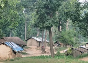 कैलालीको वन क्षेत्र घट्दै