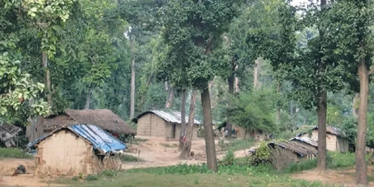 कैलालीको वन क्षेत्र घट्दै