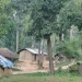 कैलालीको वन क्षेत्र घट्दै