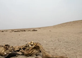 खडेरीका कारण अफ्रिकामा २७ लाख मानिस विस्थापित