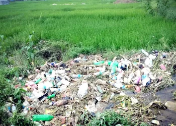 किसानका खेतमा ‘सिरिञ्ज’