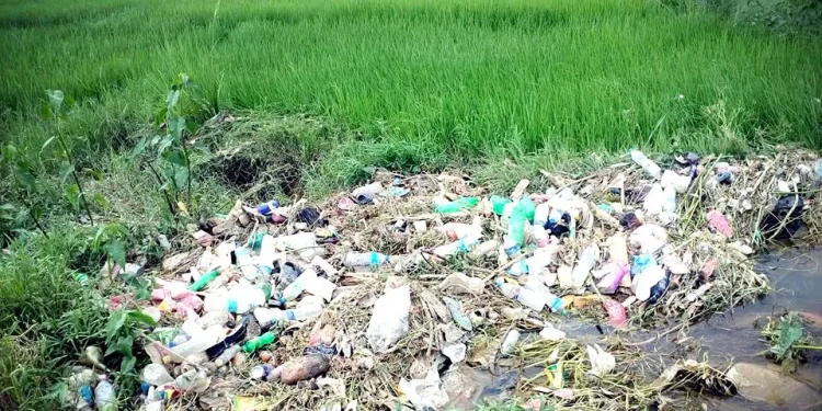 किसानका खेतमा ‘सिरिञ्ज’