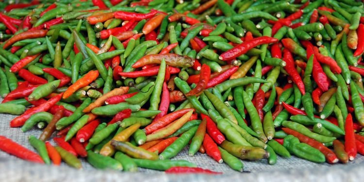 एक वर्षमा झन्डै २० करोडको खुर्सानी भारतबाट आयात