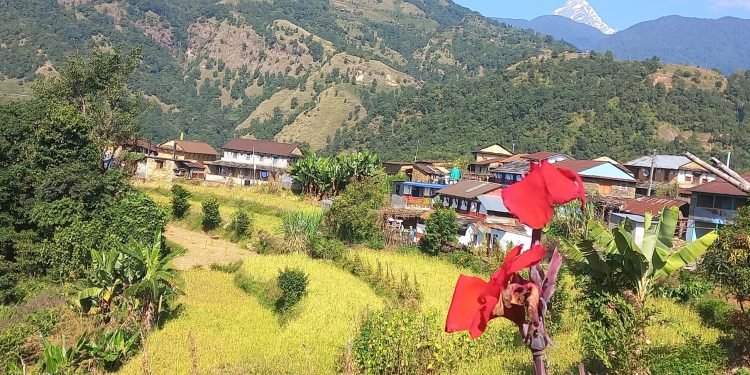 महानगरबासीलाई वडा कार्यालय पुग्नै सास्ती