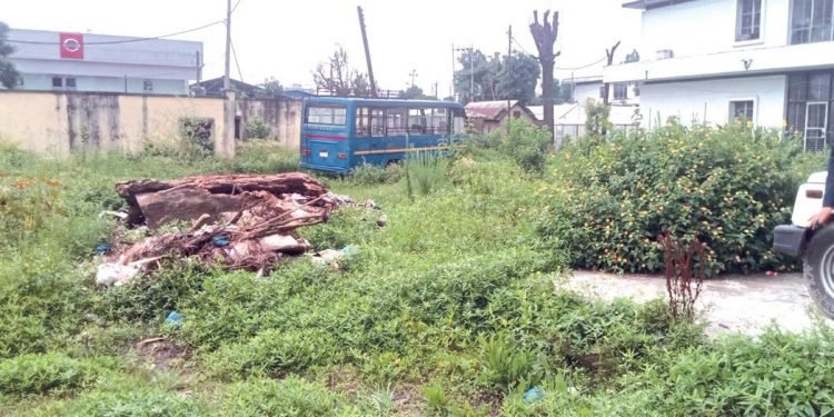 ‘नार्क हो कि नर्क’ छुट्याउनै गार्हो