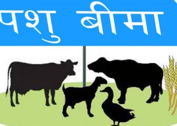 दलित परिवारले पालेका सबै पशुपक्षीको निःशुल्क बीमा
