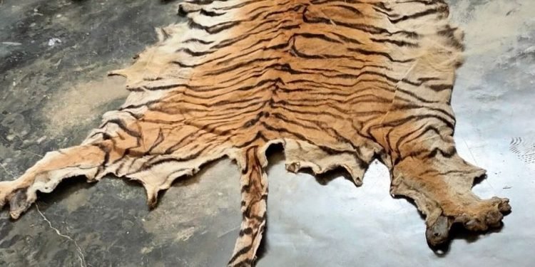 पाटेबाघको छाला र हड्डीसहित चार जना पक्राउ