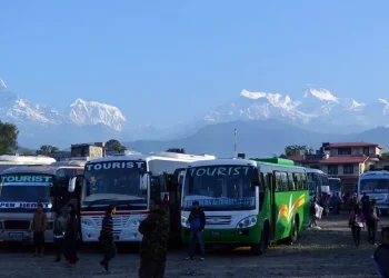 पोखरा बसपार्क क्षेत्रको सडकमा पार्किङ निषेध