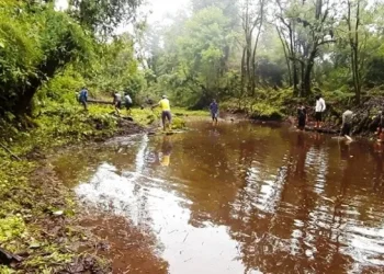 वन्यजन्तुका लागि सामुदायिक वनमा पोखरी निर्माण