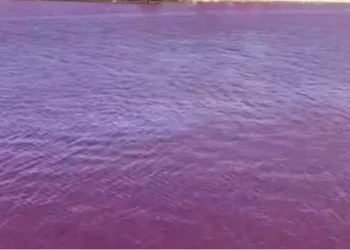 कसरी भयो जापानको यो नदी रातो ?